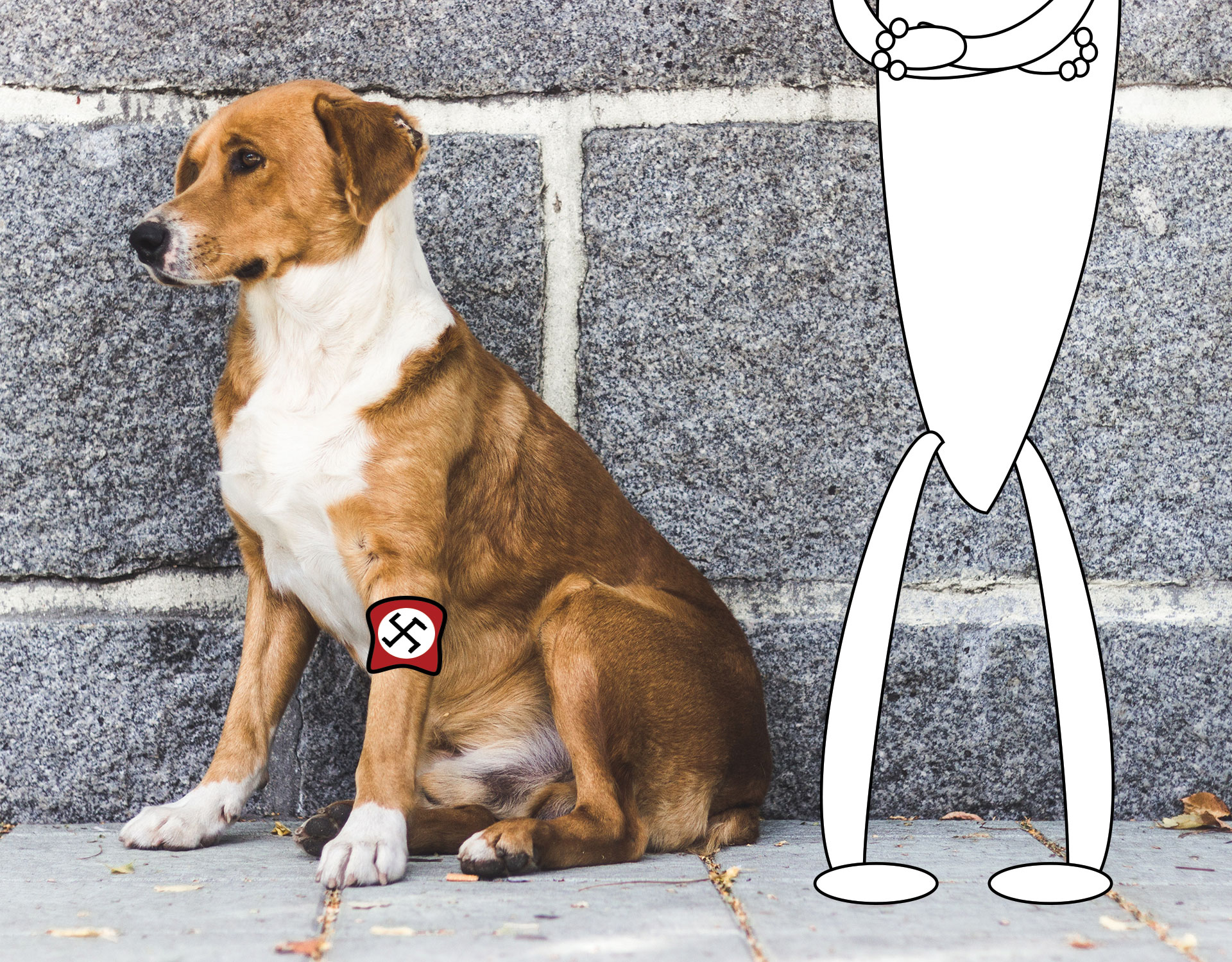 nazi dog